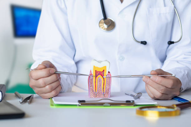 Best Pediatric Emergency Dentist in Westfield Center, OH